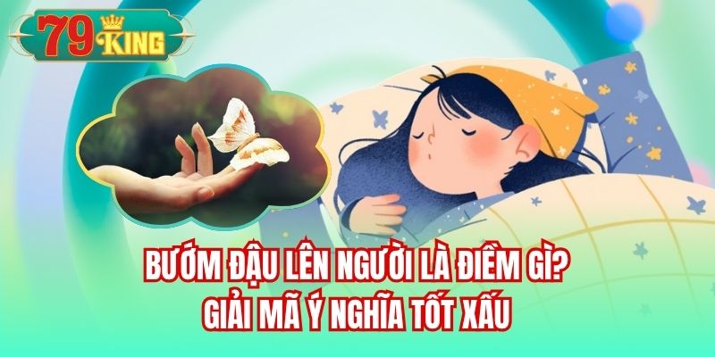 Read more about the article Bướm Đậu Lên Người Là Điềm gì? Giải Mã Ý Nghĩa Tốt Xấu